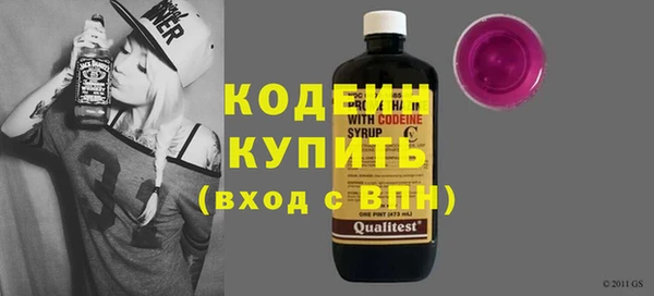 ешки Корсаков