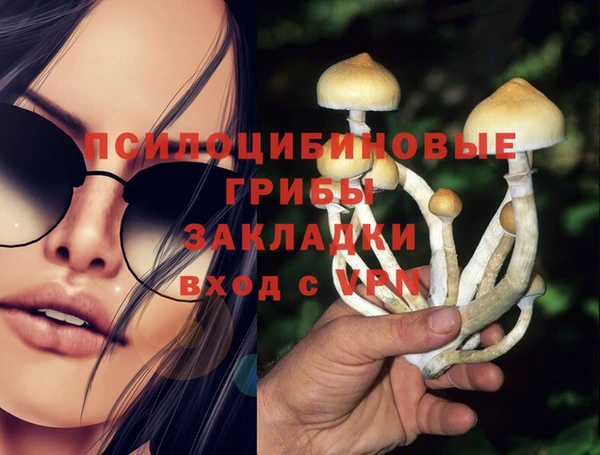 Альфа ПВП Алексеевка
